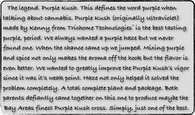  The legend. Purple Kush. This defines the word purple when talking about cannabis. Purple Kush (originally Ultraviolet) made by Kenny from Trichome Technologies™ is the best tasting purple, period. We always wanted a purple haze but we never found one. When the chance came up we jumped. Mixing purple and spice not only makes the aroma off the hook but the flavor is even better. We wanted to greatly improve the Purple Kush’s vigor since it was it’s weak point. Haze not only helped it solved the problem completely. A total complete plant and package. Both parents defiantly came together on this one to produce maybe the Bay Areas finest Purple Kush cross. Simply, just one of the best.